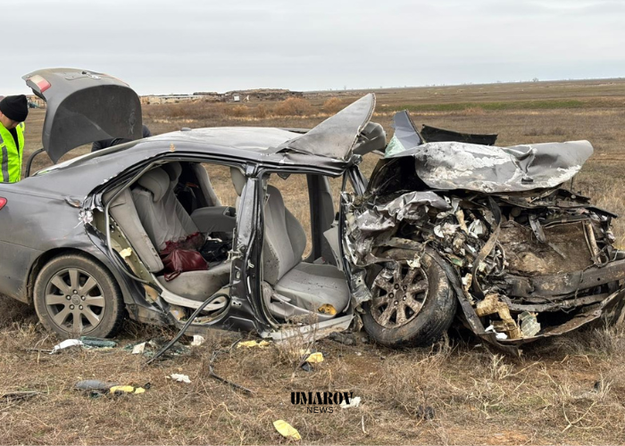 Полиция ЗКО назвала возраст погибших и пострадавших в ДТП, унесшем жизни восьми человек на дороге в Жангалу